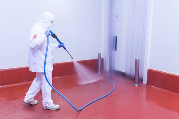 Best Pre-Holiday Cleaning  in Upper Montclair, NJ